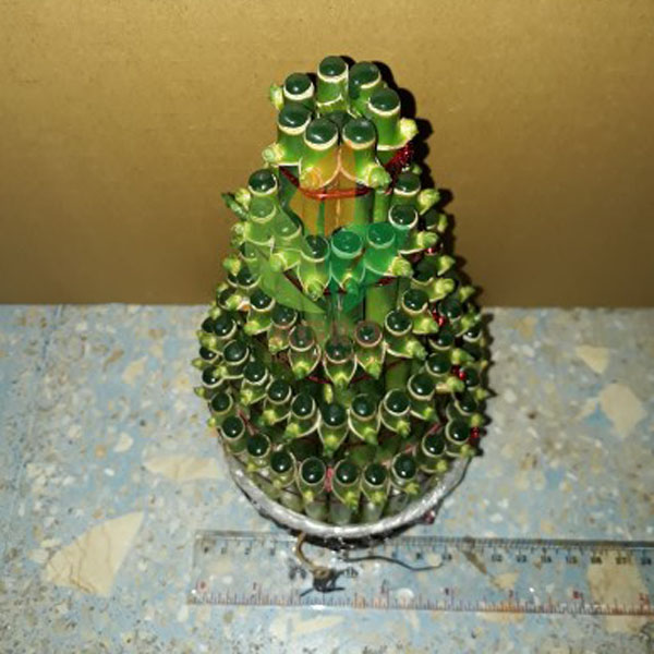 Bambu Cina /Hoki Tingkat 5