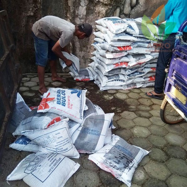Tanah Media Tanam Tabulampot