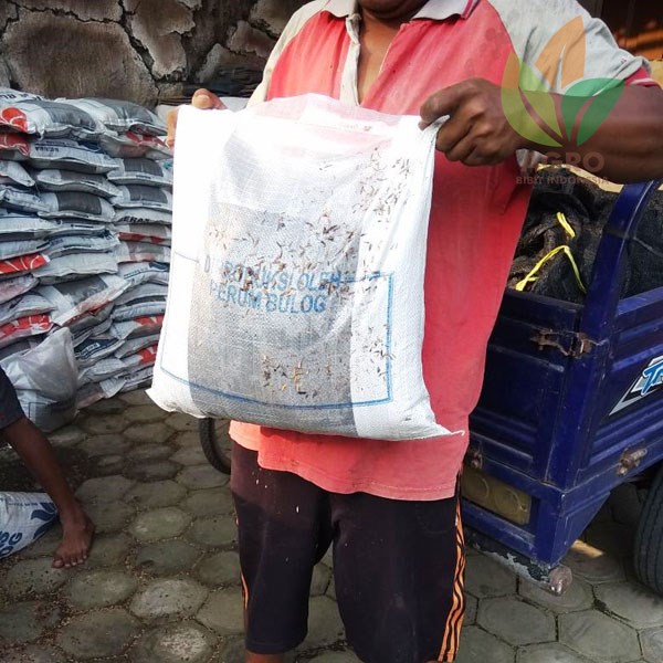Tanah Media Tanam Tabulampot