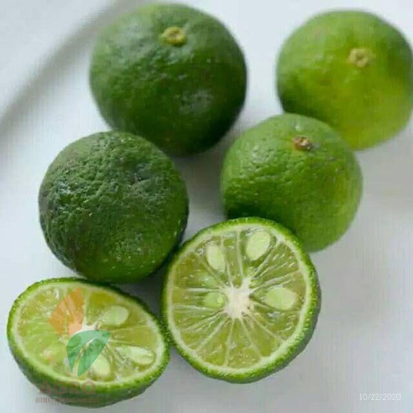 Jeruk Limau untuk Sambal