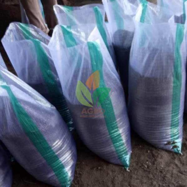 Pupuk Kompos Karungan