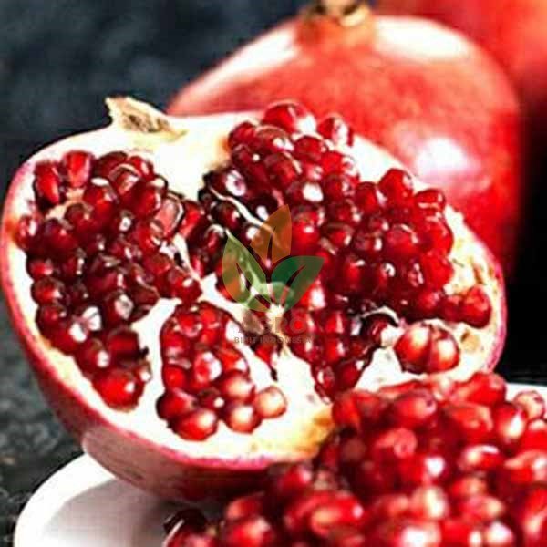 Delima Merah Jumbo Lunak