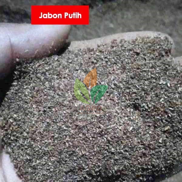 biji jabon putih