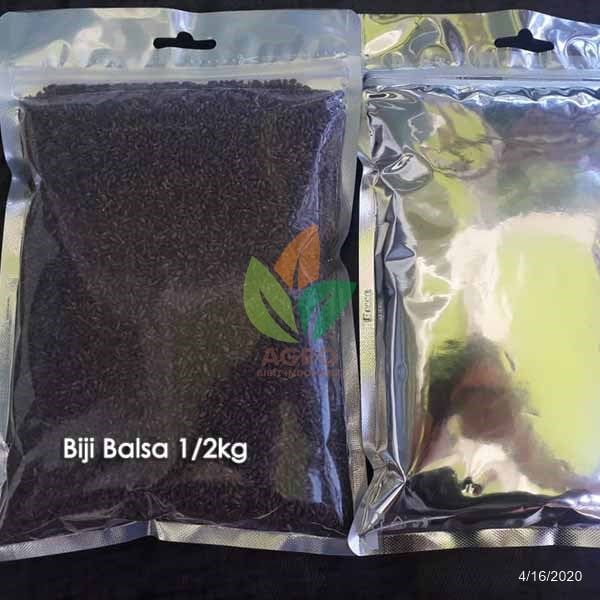 Benih Biji Balsa 1/2Kg Unggul