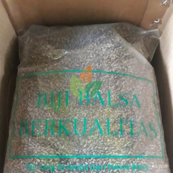 Kirim Biji Kayu Balsa ke Kab. Malang Jawa Timur