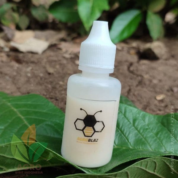 Agroblaz Basmi Kutu Putih