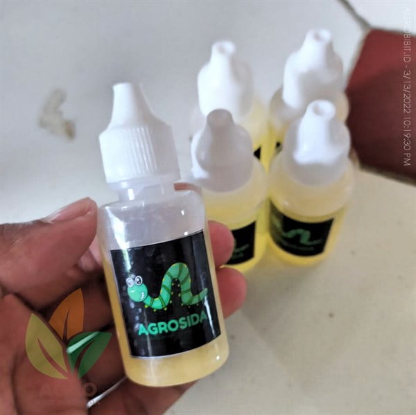 AgroSIDA Obat Hama Ulat