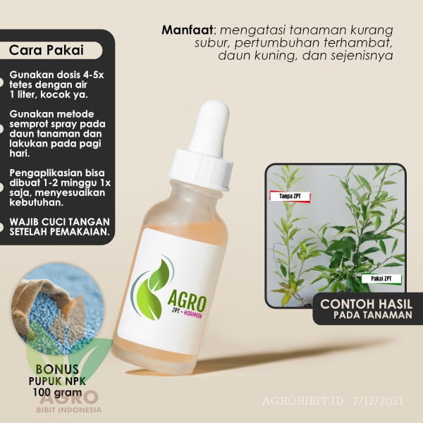 Agro ZPT atasi Daun Kuning