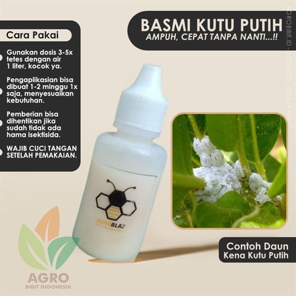 Agroblaz Basmi Kutu Putih