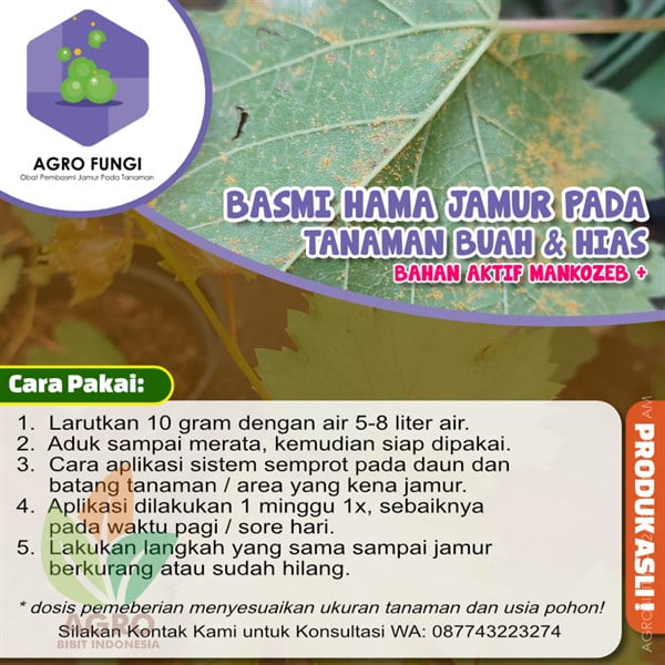 Agro Fungi Obat Jamur Tanaman