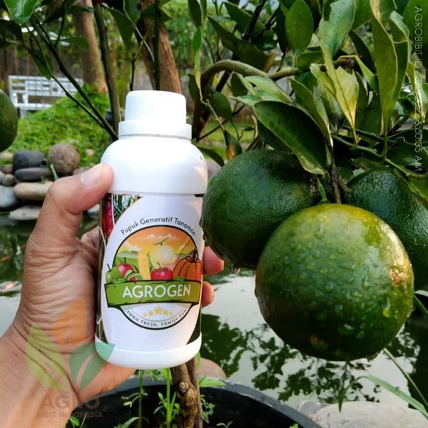 AgroGen Pupuk Pembuahan