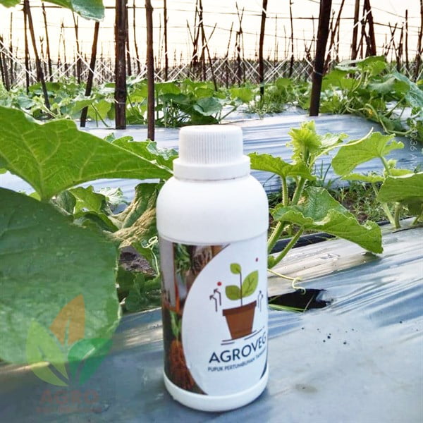 AgroVEG Pupuk Pertumbuhan