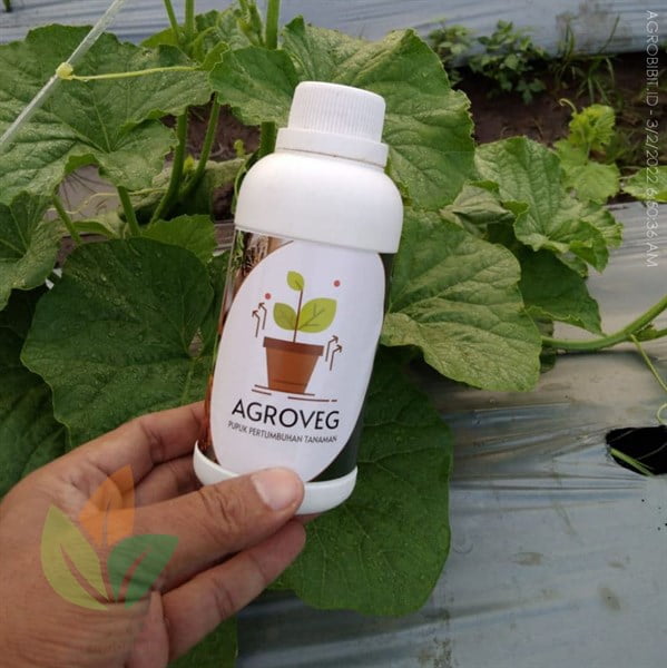 AgroVEG Pupuk Pertumbuhan