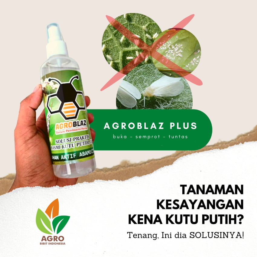 Agroblaz Plus Obat Kutu
