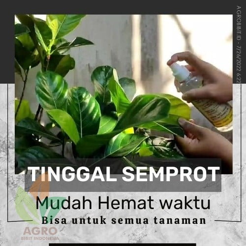AgroGen Spray POC Organik