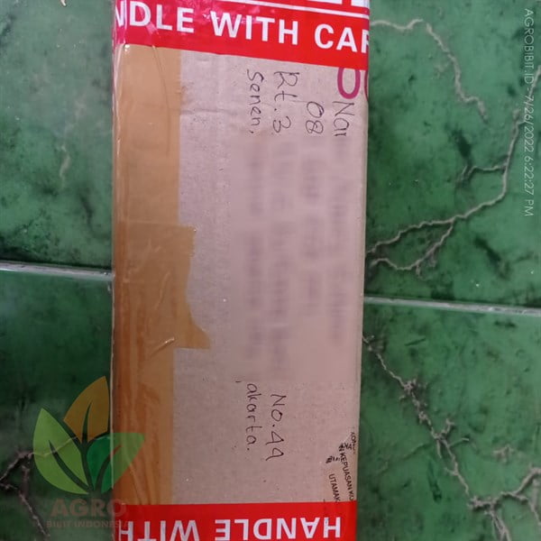 Kirim Bibit Bunga Hortensia ke-Jakarta
