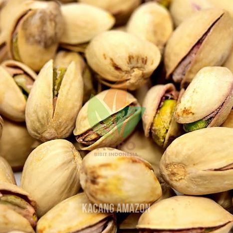 Kacang Amazon Mentega