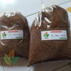 Harga Biji Jabon Merah dan Jabon Putih Terbaru