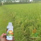 jual pupuk padi Agrogen