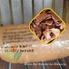 Stok Biji Mahoni Terbaru Menuju Sidoarjo