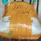 Jual Biji Sengon Buto Terbaik 11 Kg ke-Kalimantan Timur