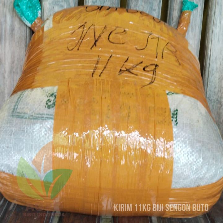 Jual Biji Sengon Buto Terbaik 11 Kg ke-Kalimantan Timur