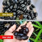 Perbedaan Tanaman Aren Genjah dan Aren Lokal