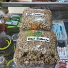 Jual Bibit Biji Kopi di Kalimantan Timur – Solusi Hemat untuk Perkebunan Kopi Anda