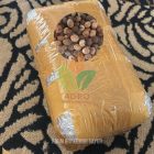 Biji Kemiri Sayur Siap Semai ke-Bangka Belitung