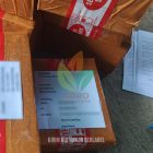 Paket Biji Kakao Klon BB-01 Berlabel di Pacitan Siap Semai