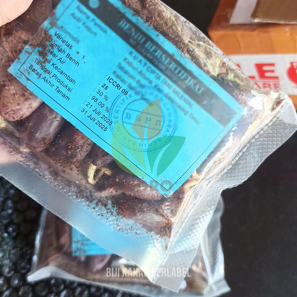 Biji Kakao ICCRI-09 Sertifikat