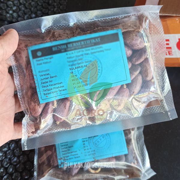 Biji Kakao Sulawesi-02 Sertifikat