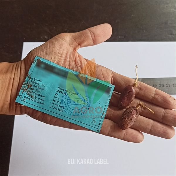 Biji Kakao ICCRI-09 Sertifikat