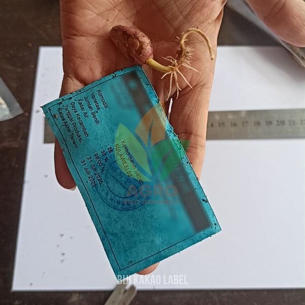 Biji Kakao Sulawesi-02 Sertifikat